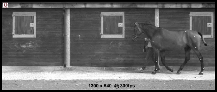 Quintic